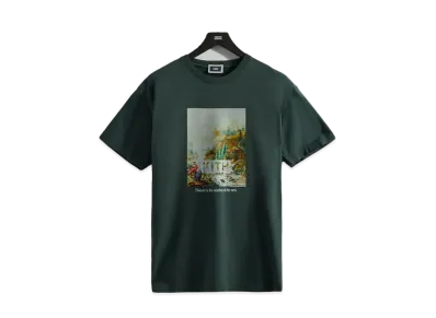 Kith Art Of Nature Vintage Tee "Stadium"