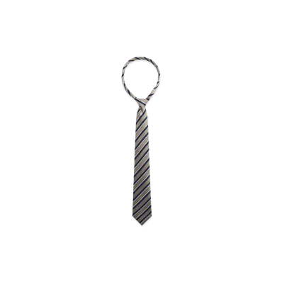 Kith x Giorgio Armani Silk Tie "Theory"
