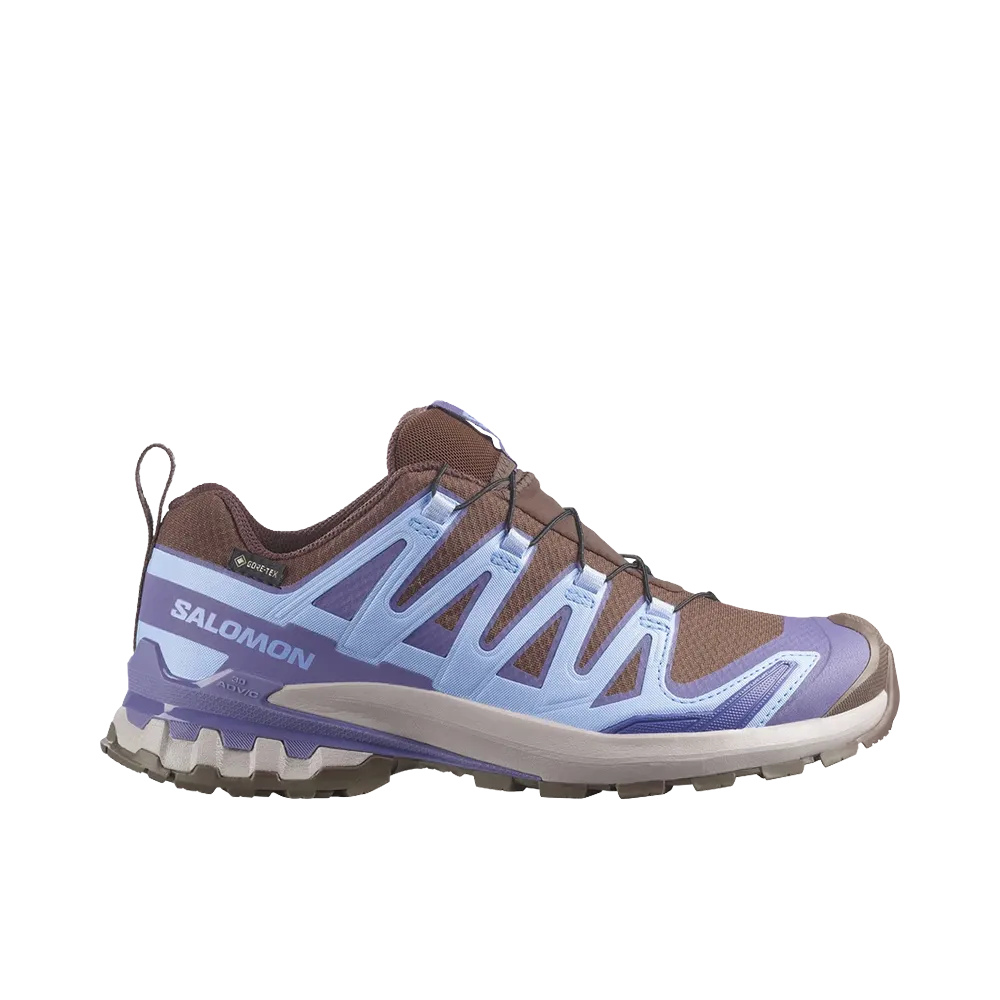 Salomon Women's XA Pro 3D V9 GORE-TEX "Dark Earth/Brunnera Blue/Heron"