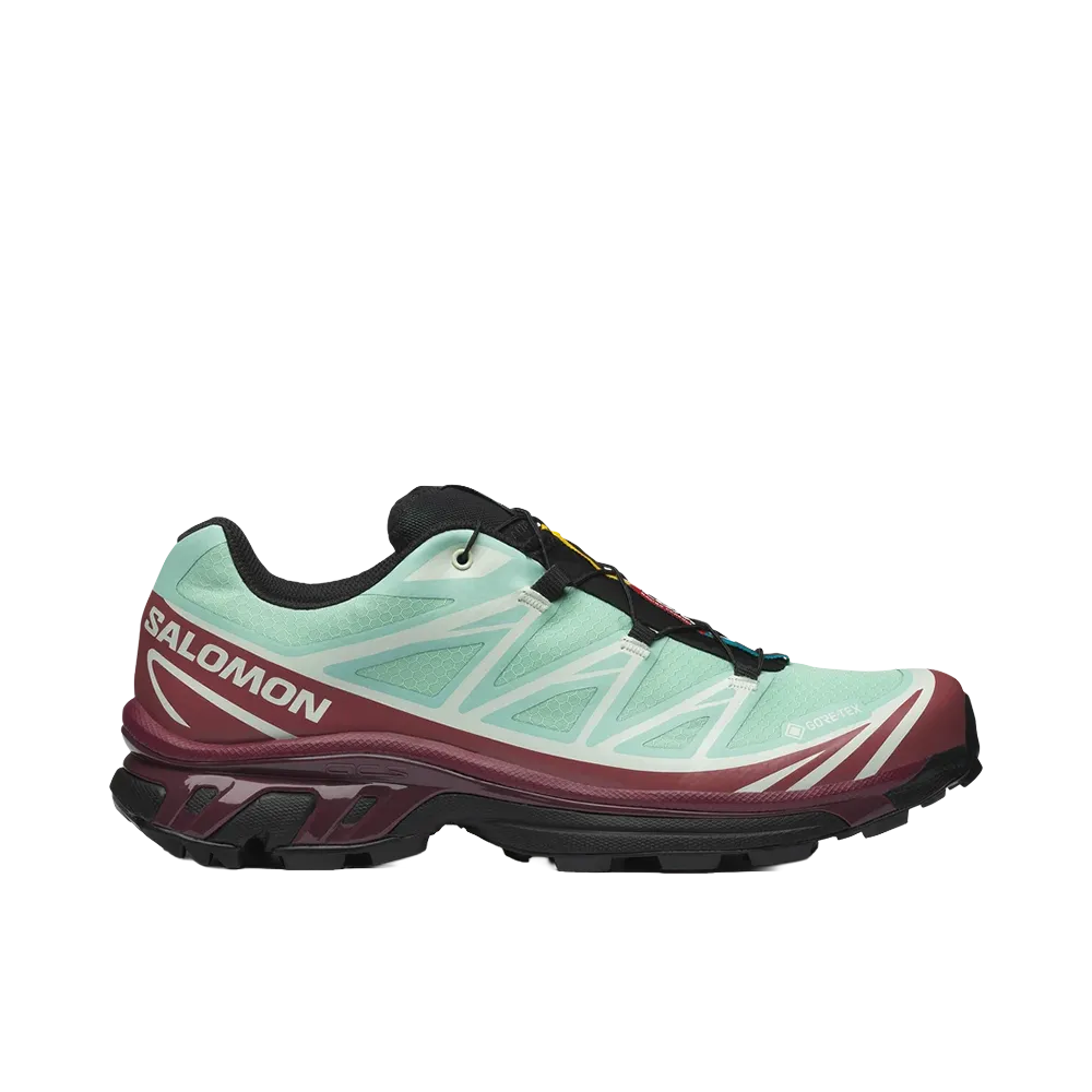 Salomon XT-6 GORE-TEX "Lichen/Nocturne"