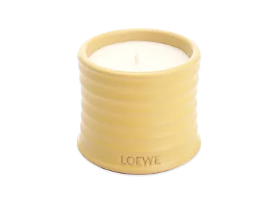 LOEWE Honeysuckle Candle 170gr "Yellow"