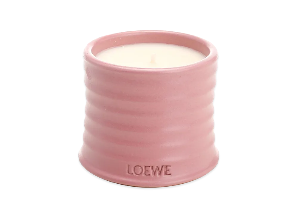 LOEWE Small Ivy Candle "Rose"