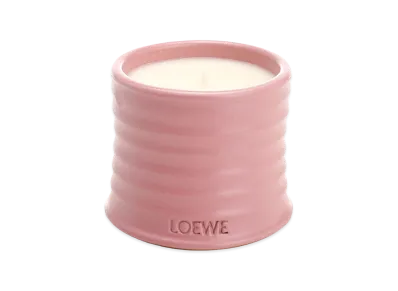 LOEWE Small Ivy Candle "Rose"