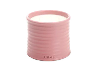 LOEWE Medium Ivy Candle "Rose"