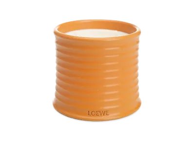 LOEWE Medium Orange Blossom Candle "Orange"