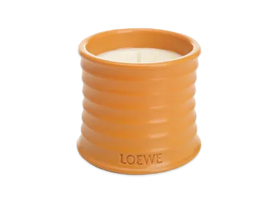LOEWE Small Orange Blossom Candle "Orange"