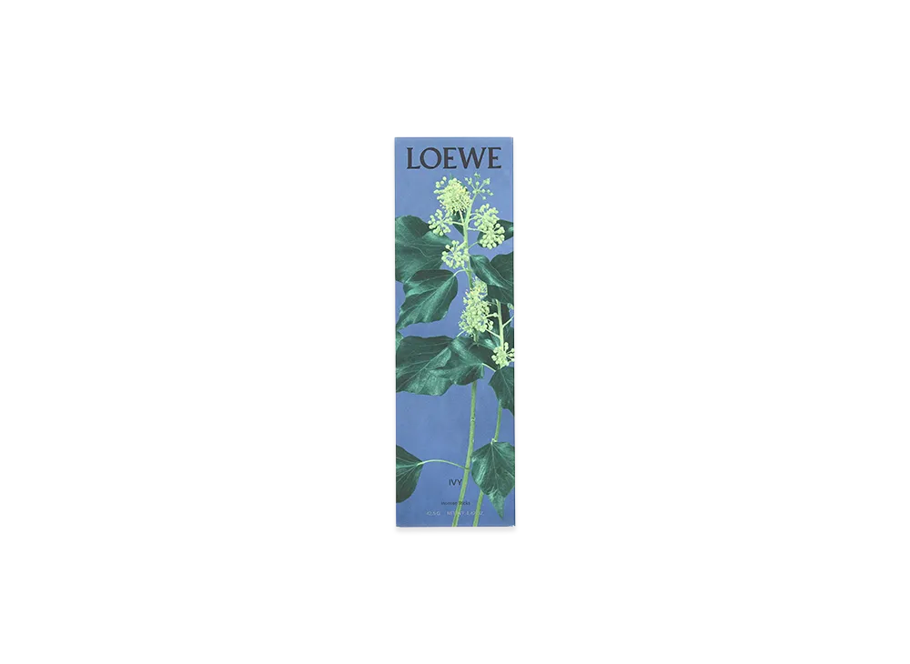 LOEWE Ivy Incense Sticks "Multicoloured"