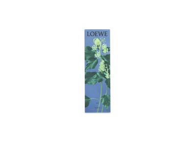 LOEWE Ivy Incense Sticks "Multicoloured"