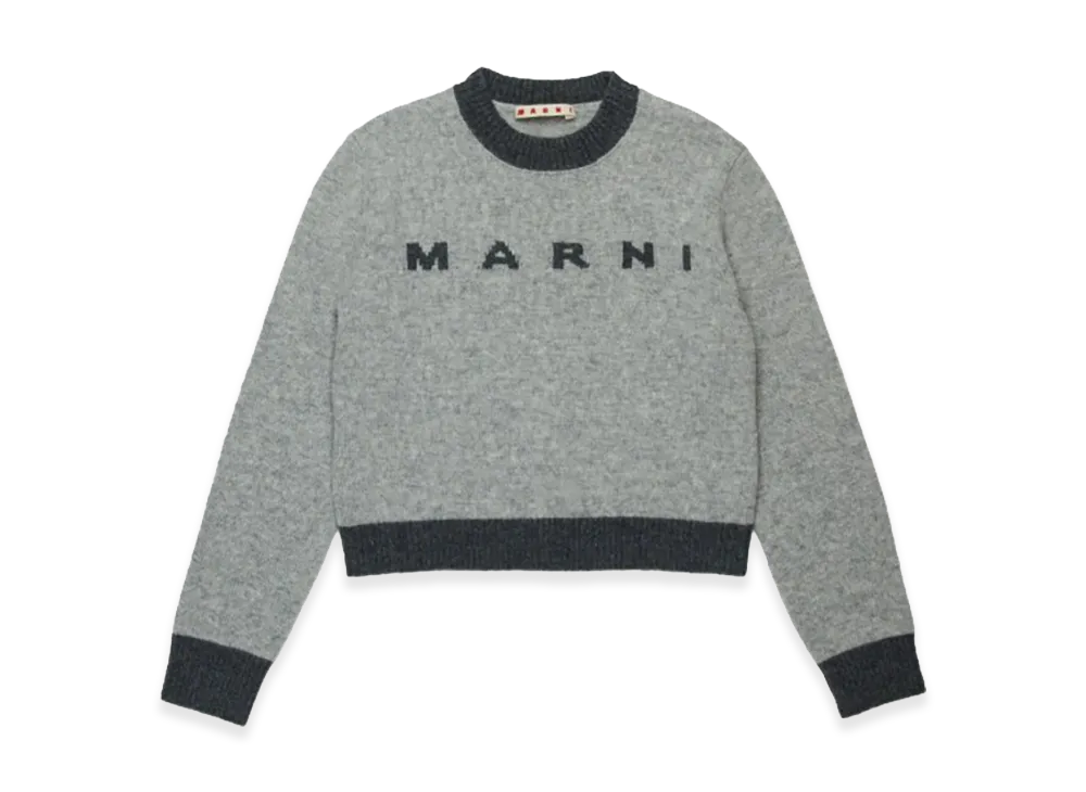 MARNI Kids Sweaters "Gray"