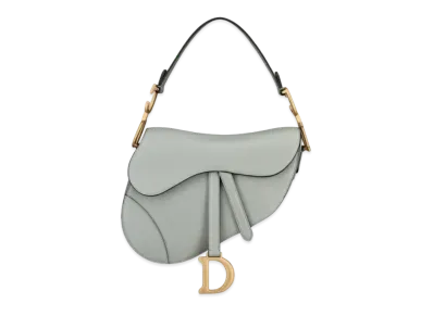 Dior Saddle Bag Grained Calfskin "Grey/Gold"