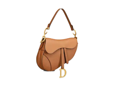 Dior Saddle Bag "Brown"