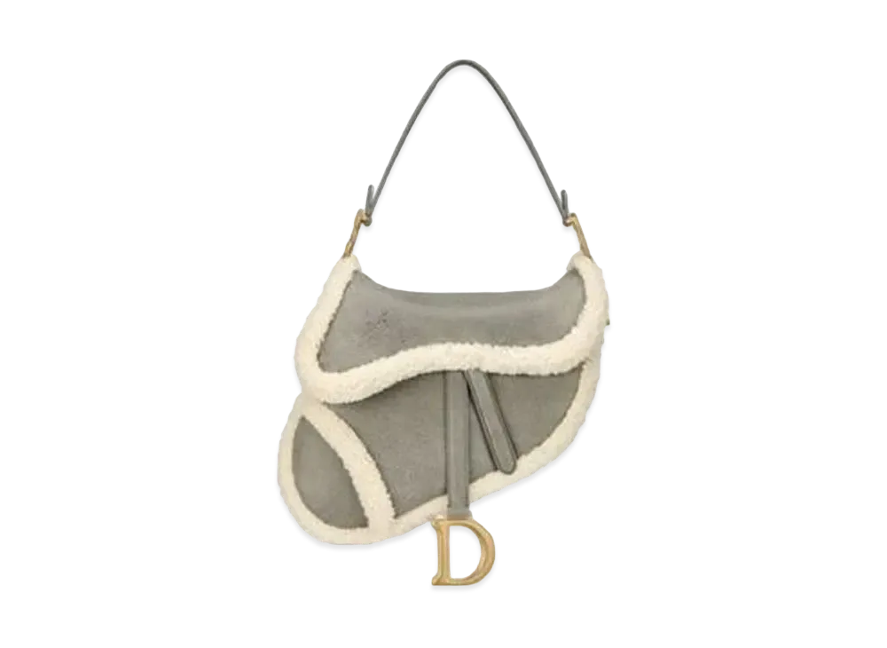 Dior Saddle Bag "Gray"