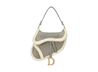 Dior Saddle Bag "Gray"