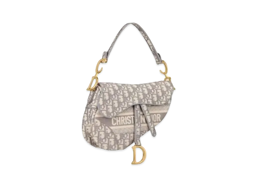 Dior Saddle Bag "Gray"
