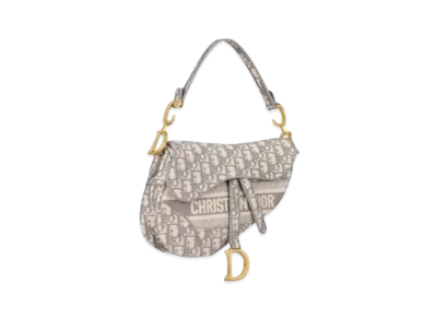 Dior Saddle Bag "Gray"