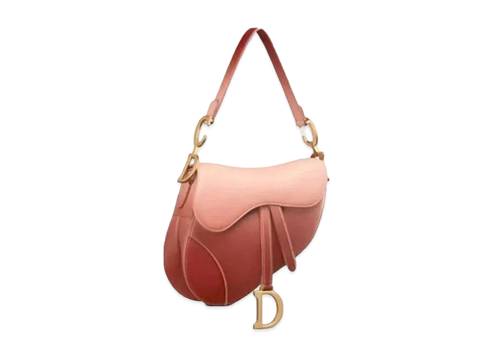 Dior Saddle Bag "Pink"