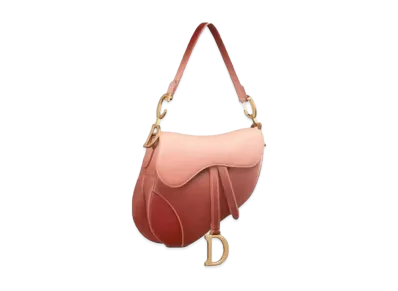 Dior Saddle Bag "Pink"