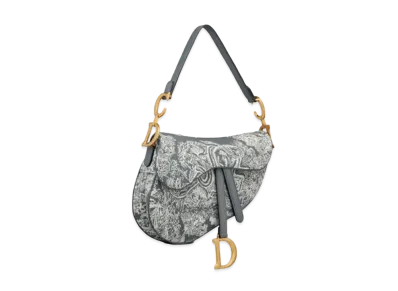 Dior Saddle Bag "Gray"