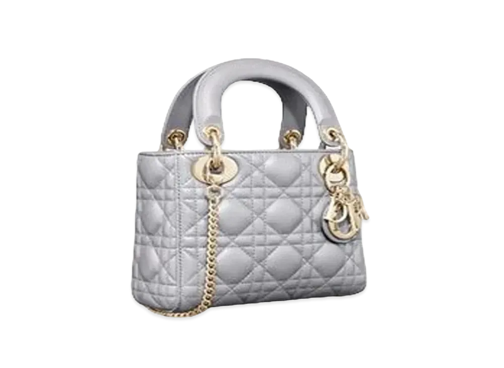 Dior Mini Lady Dior Bag "Gray"