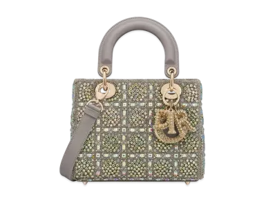 Dior Small Lady Bag Smooth Calfskin Satin Bead Embroidery "Gray"