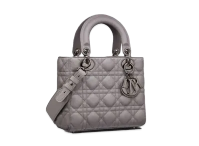 Dior Lady Dior My ABC Dior Bag "Gray"