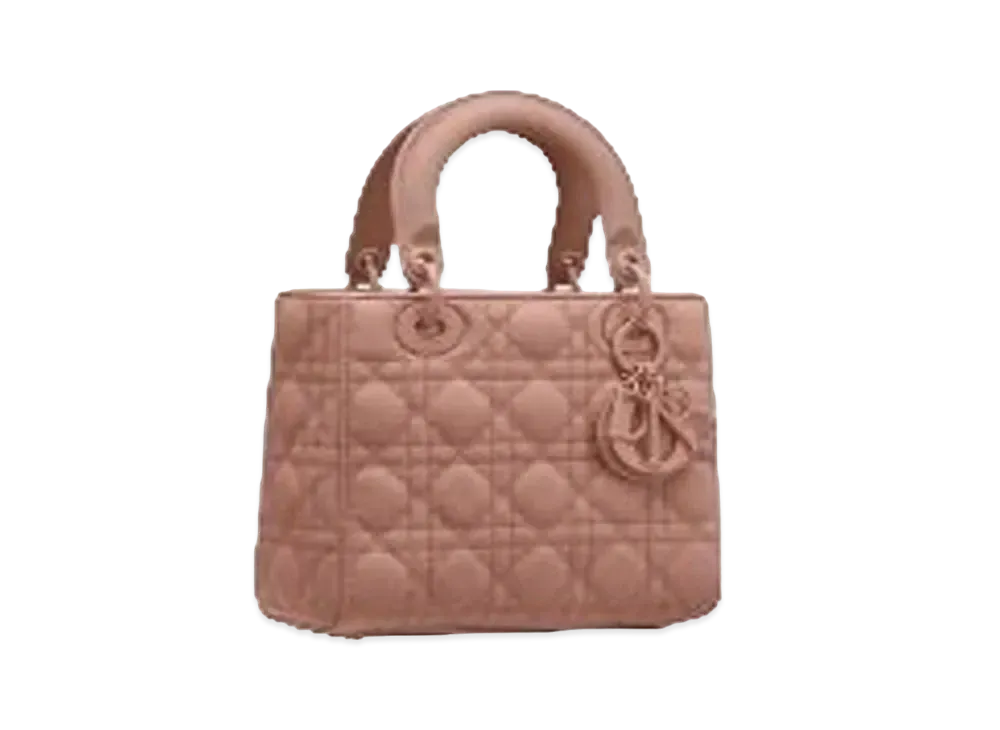 Dior Lady Dior My ABC Dior Bag "Pink"