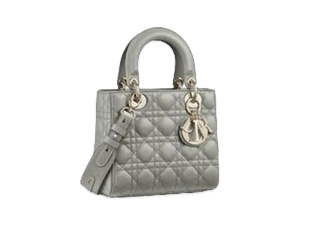 Dior Lady Dior My ABC Dior Bag "Gray"