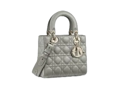 Dior Lady Dior My ABC Dior Bag "Gray"