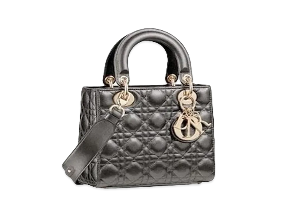 Dior Lady Dior My ABC Dior Bag "Silver"