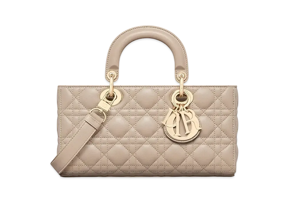 Dior Medium Lady D-Joy Bag "Powder Beige"