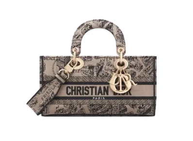 Dior Medium Lady D-Joy Bag Plan de Paris Embroidery "Beige/Black"