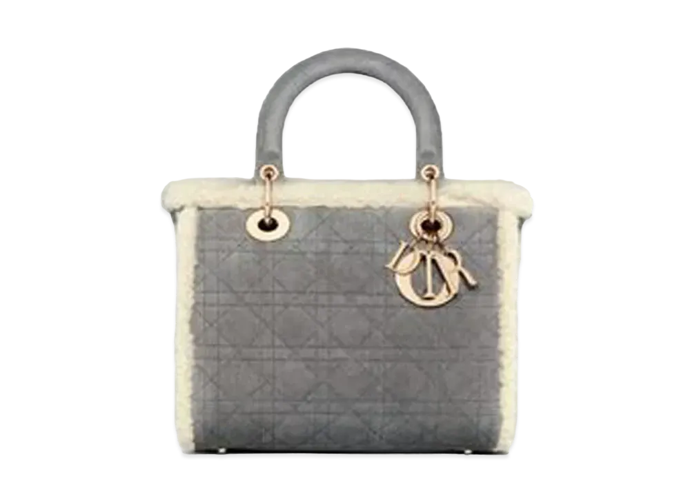 Dior Medium Lady Dior Bag "Gray"