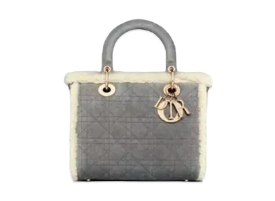 Dior Medium Lady Dior Bag "Gray"