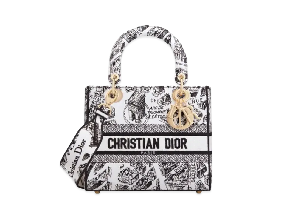 Dior Medium Lady D-Lite Bag Plan de Paris Embroidery "White/Black"