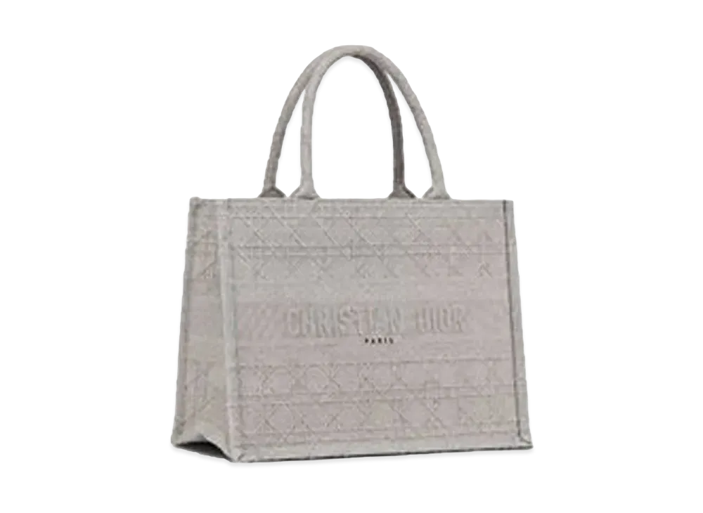 Dior Small Dior Book Tote "Gray"