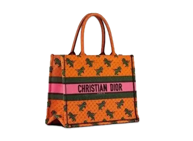 Dior Small Dior Book Tote "Orange"