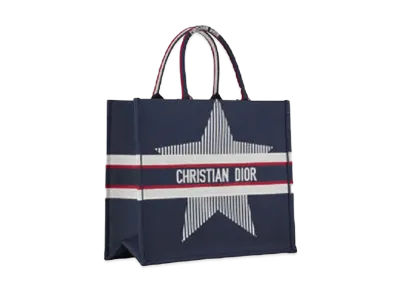 Dior Dioralps Dior Book Tote Small Bag "Navy"