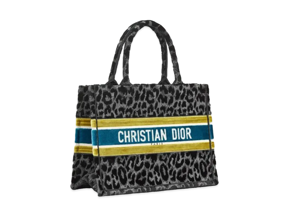 Dior Small Dior Book Tote "Gray"