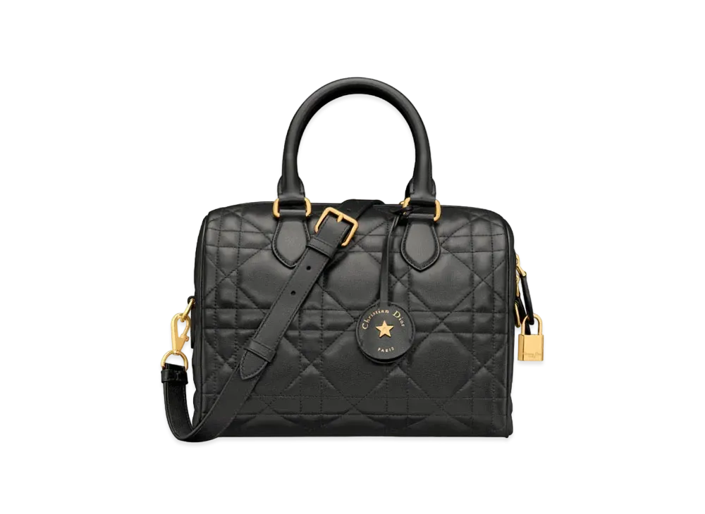 Dior Groove 25 Bag Macrocannage Calfskin "Black"