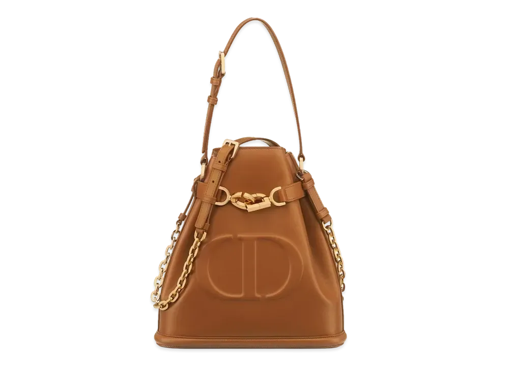 Dior Medium Cest Dior Bag CD Embossed Calfskin "Golden"