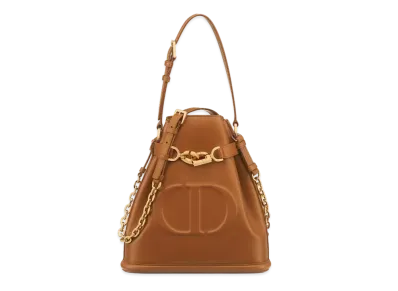 Dior Medium Cest Dior Bag CD Embossed Calfskin "Golden"