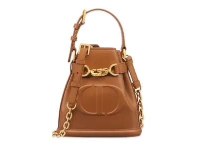 Dior Small Cest Dior Bag CD Embossed Calfskin Golden Saddle "Brown"