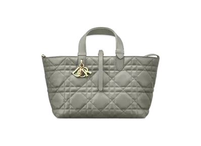 Dior Medium Toujours Bag "Stone Gray"