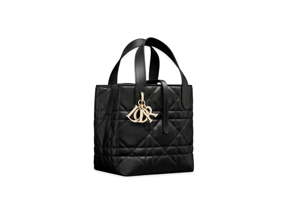 Dior Small Dior Toujours Vertical Tote Bag Macrocannage Calfskin "Black"