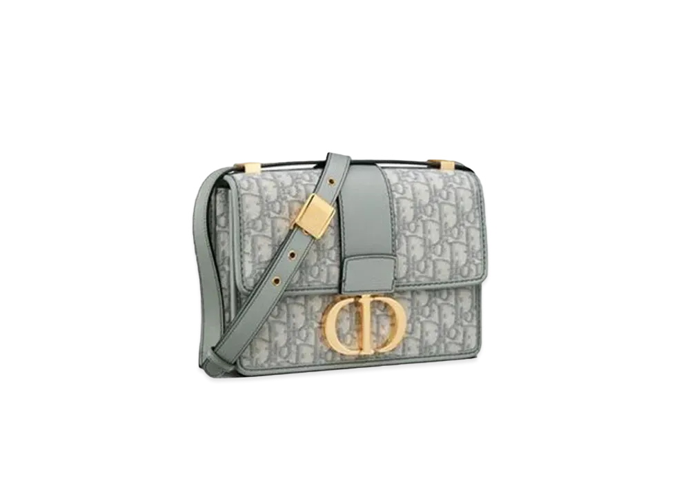 Dior Micro 30 Montaigne Bag "Gray"