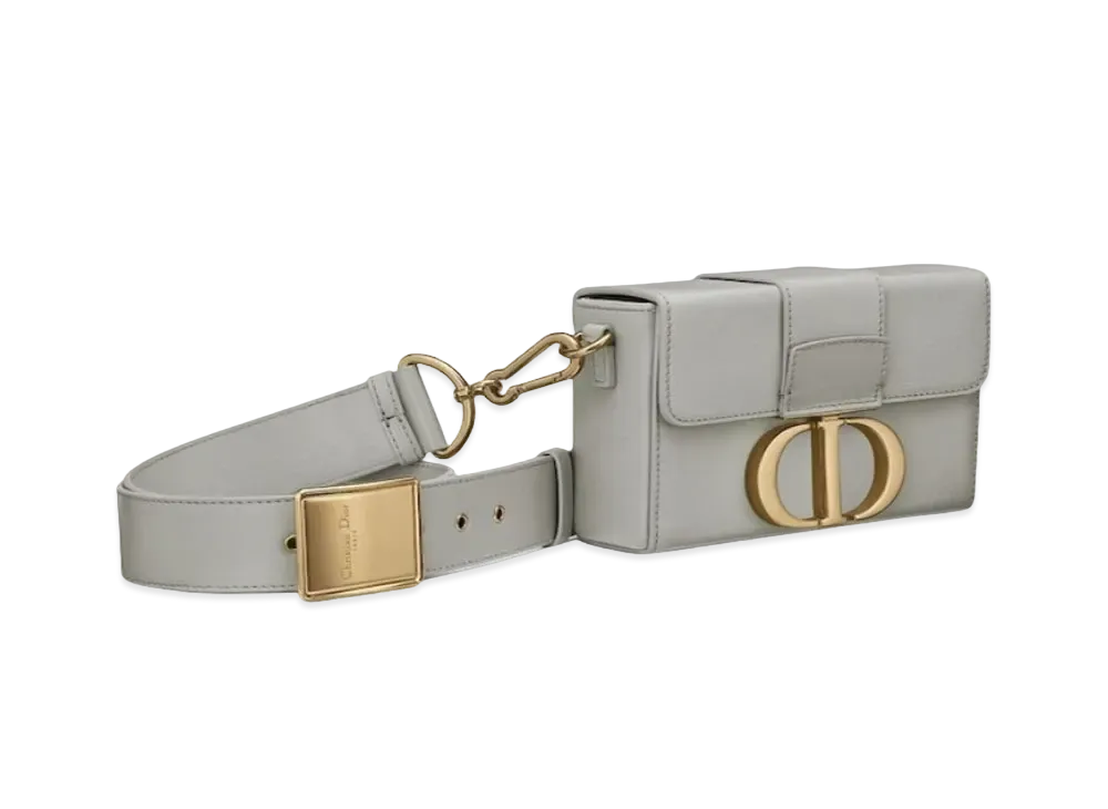 Dior 30 Montaigne Box Bag "Gray"