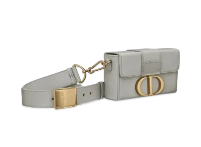 Dior 30 Montaigne Box Bag "Gray"