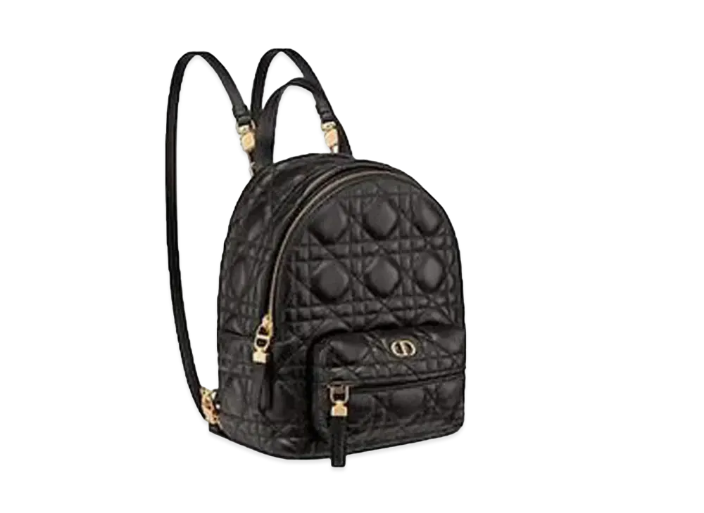 Dior Mini Dior Backpack "Black"