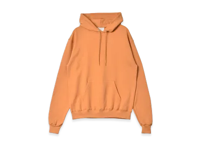 Champion Adult 9Oz.Dbl Dry Eco Po Hd "Gold"