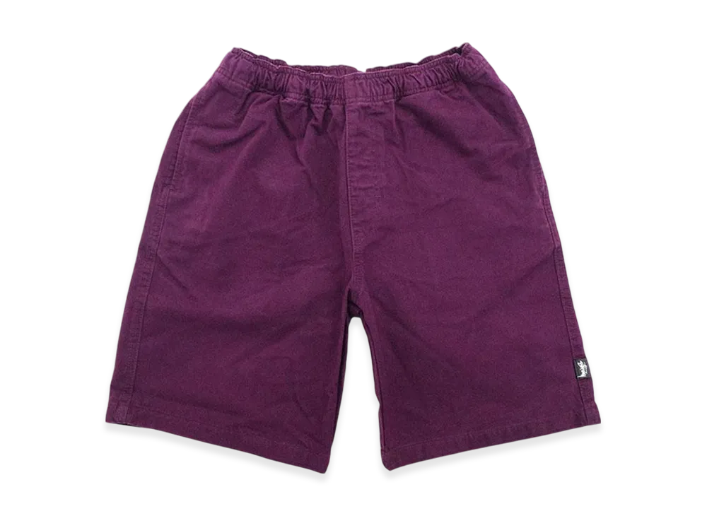 STUSSY ステューシー BRUSHED BEACH SHORT パープル Stussy Brushed Beach Short 